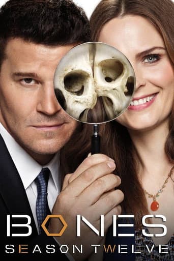 Temporada 12