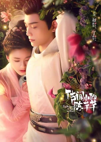 The Romance of Tiger and Rose 1