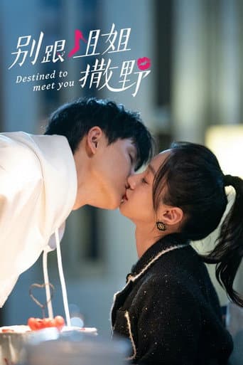 Destined to Meet You 1
