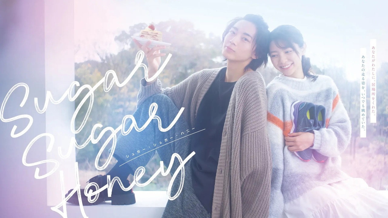 Sugar Sugar Honey 1